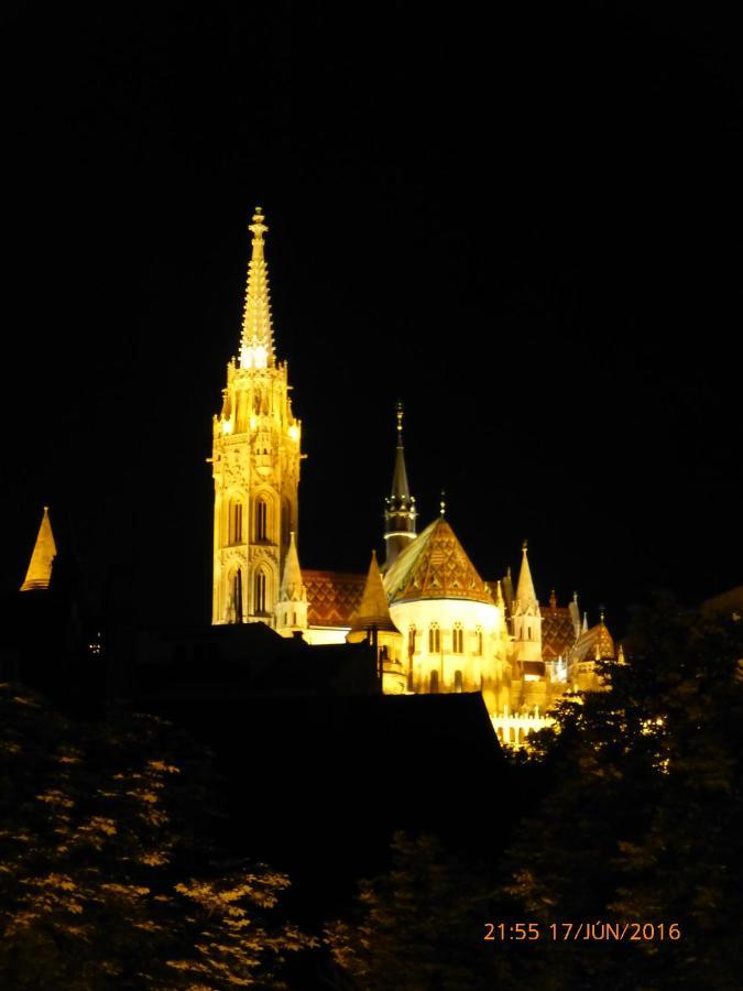 Elegant Apartment With Buda Castle View بودابست المظهر الخارجي الصورة