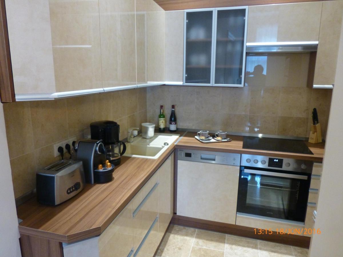 Elegant Apartment With Buda Castle View بودابست المظهر الخارجي الصورة