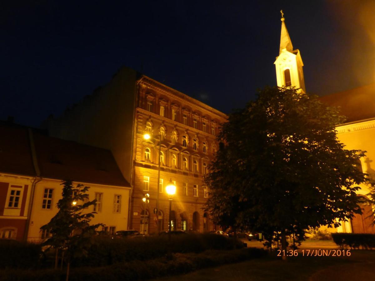 Elegant Apartment With Buda Castle View بودابست المظهر الخارجي الصورة